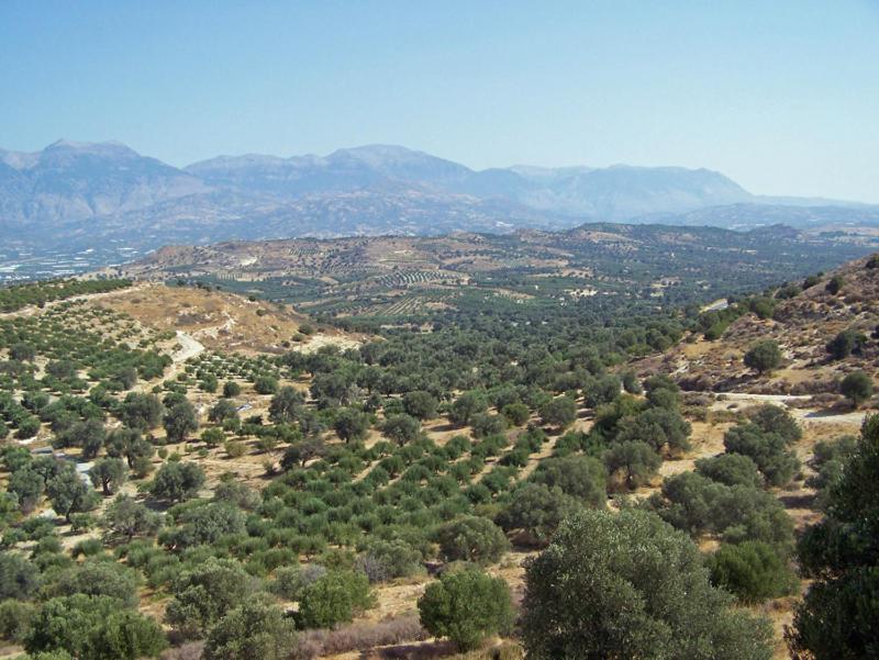 Villas Alexandros كالاماكي الغرفة الصورة