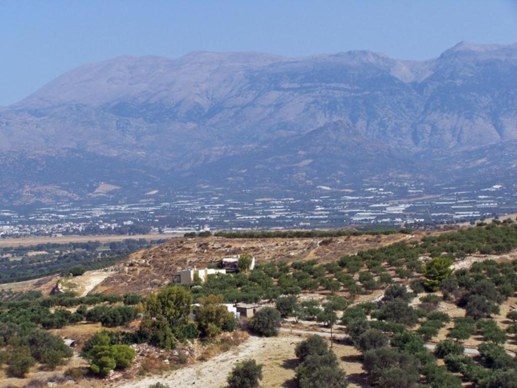 Villas Alexandros كالاماكي المظهر الخارجي الصورة